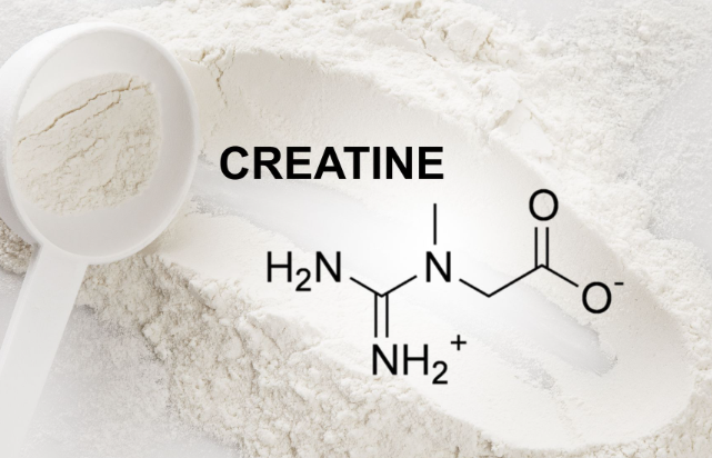 How Long Does Creatine Last.png How Long Does Creatine Last.png
